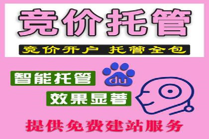 案例解析：竞价托管助力企业品牌知名度提升